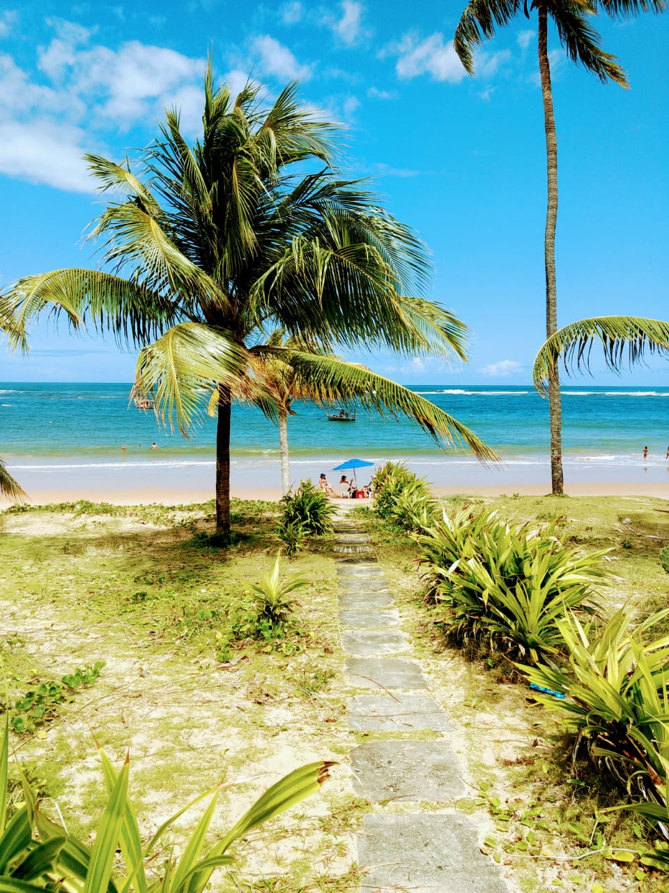Tour a Praia do Forte y Guarajuba - Imagen 4