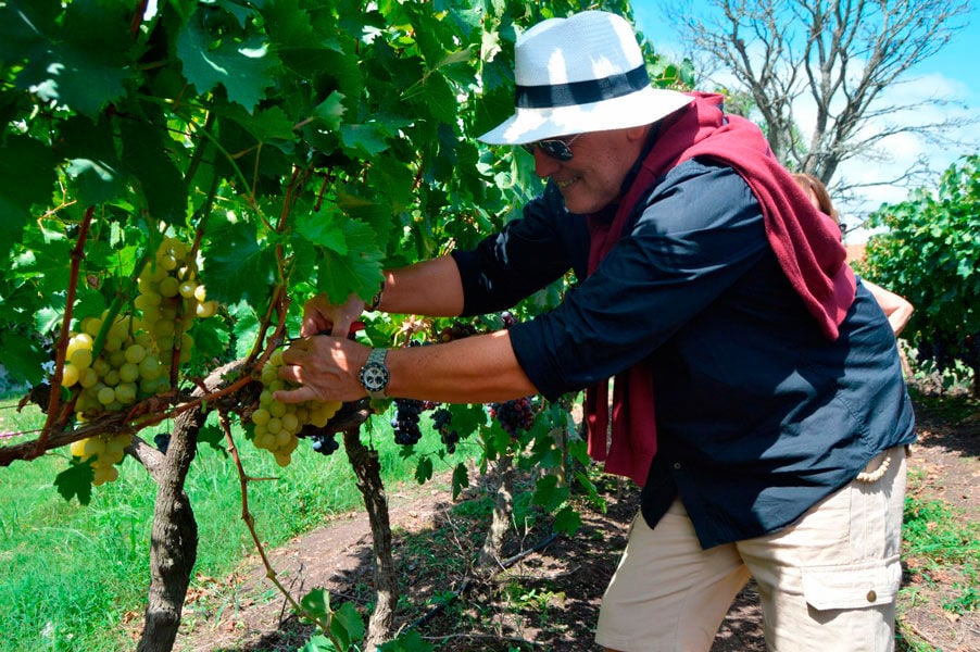 Visita a la Bodega Moizo - Imagen 4