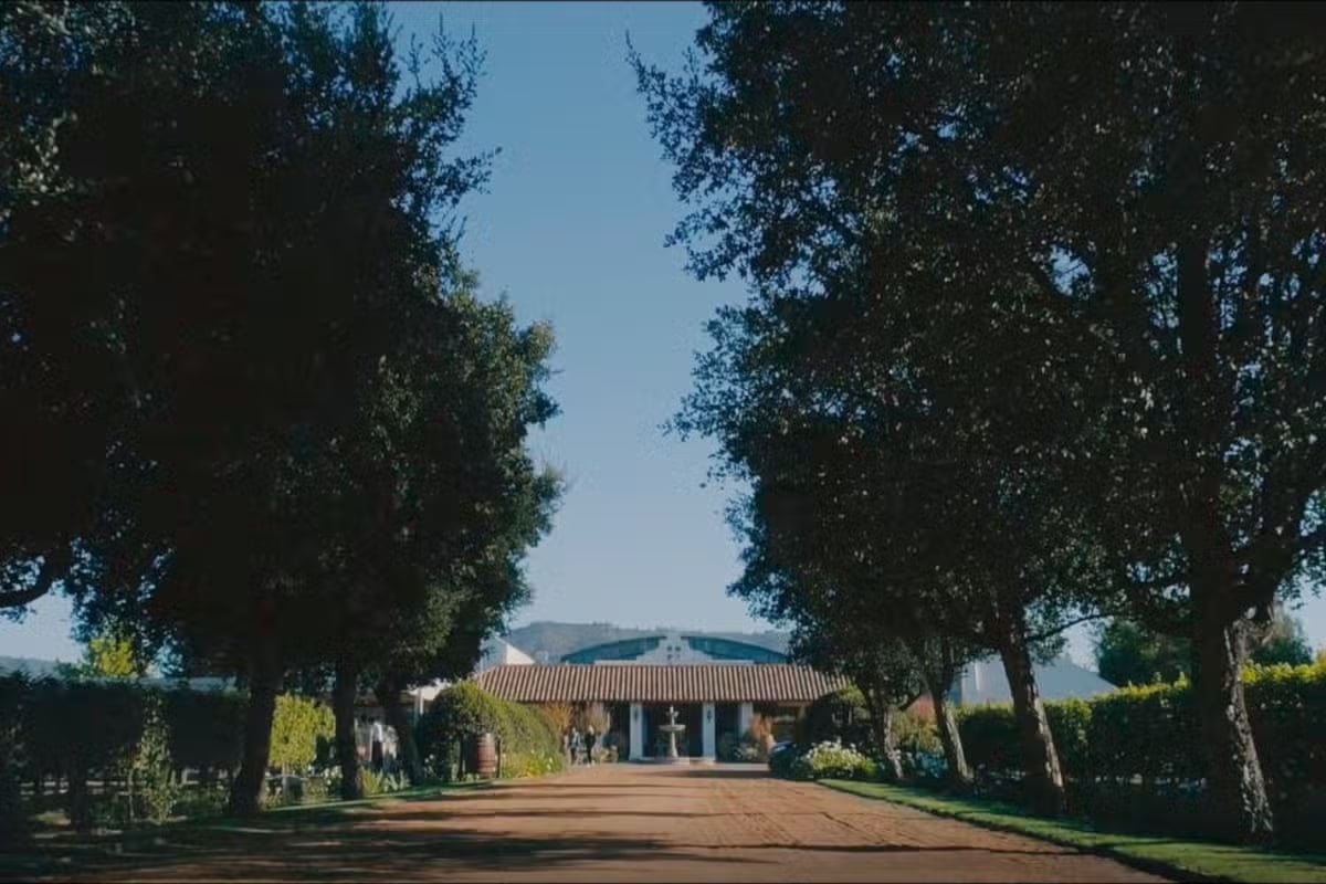 Viña Casas del Bosque con traslados - Imagen 4