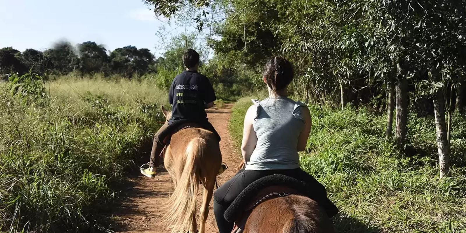 Jungle Horseback Ride in Iguazú - Imagen 2