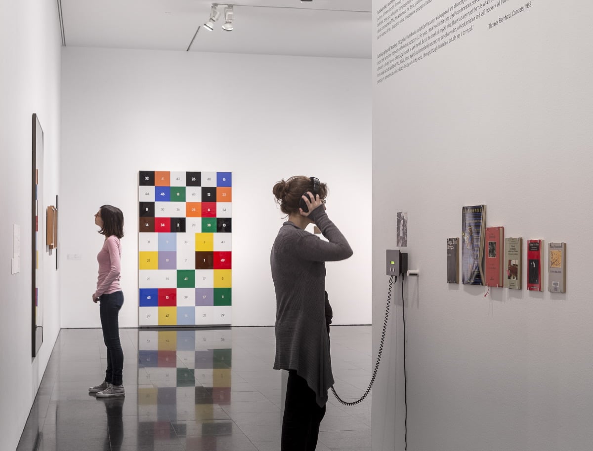 Entrada al Museo de Arte Contemporáneo - Imagen 2