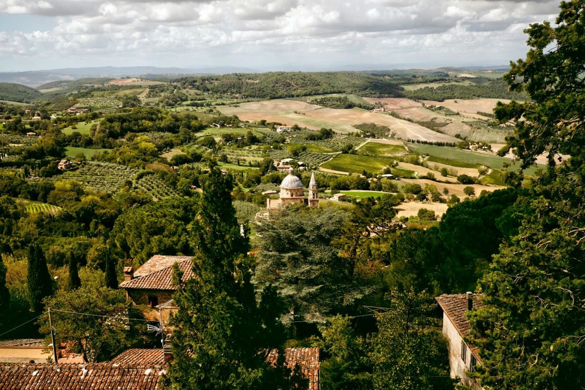 Montepulciano, Montalcino and Cortona - Imagen 3