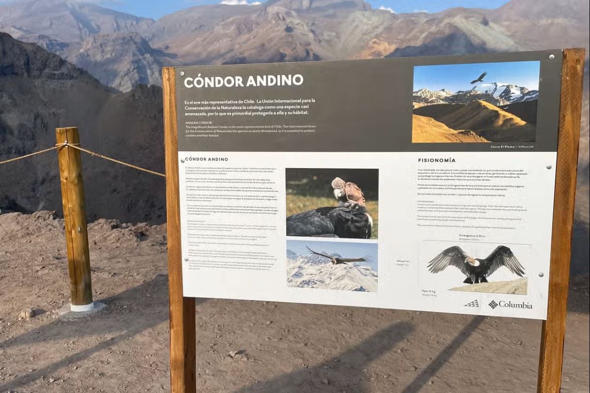 Andes panorámico: Valle Nevado y Farellones - Imagen 2