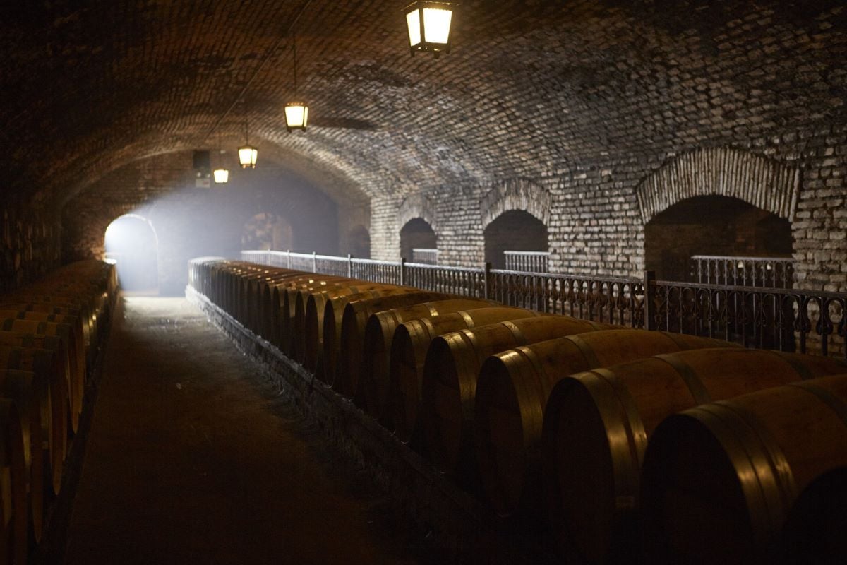 Concha y Toro Night Tour, Tasting & Dinner - Imagen 2