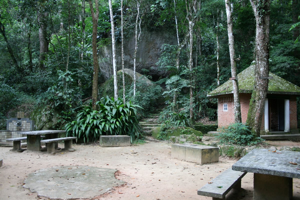 Tijuca National Park and Botanic Garden - Imagen 4