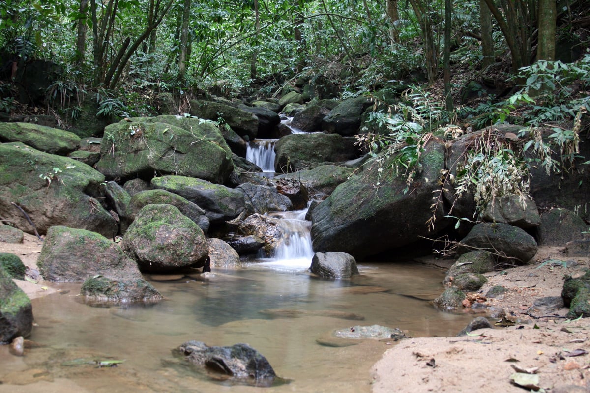 Tijuca National Park and Botanic Garden - Imagen 2