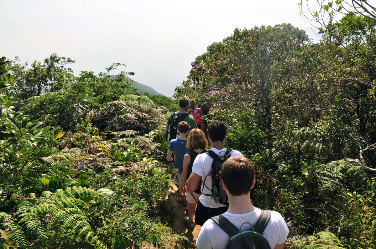 Tijuca National Park and Botanic Garden - Imagen 3