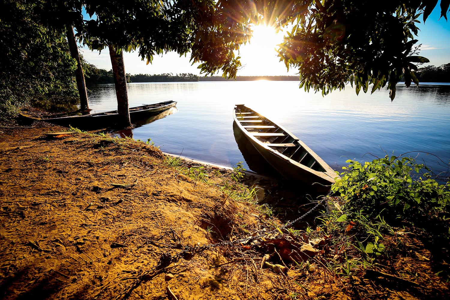 Safari en el Amazonas: día completo - Imagen 2