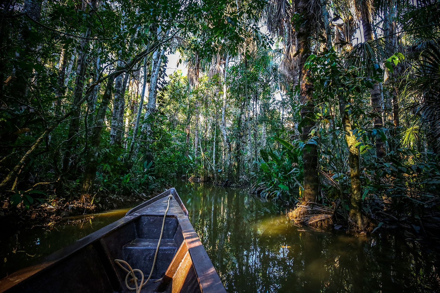 Escape a la selva tropical: 3 días - Imagen 4