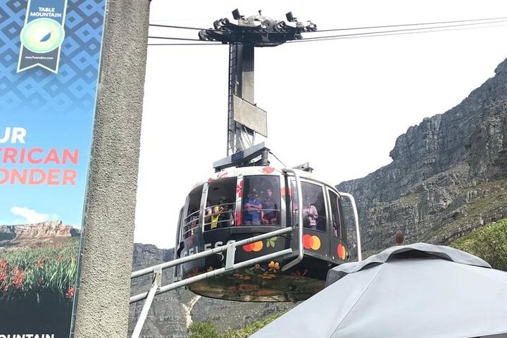 Table Mountain, pingüinos y Cape Point - Imagen 2