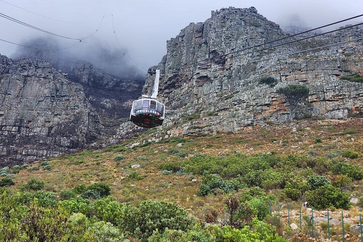 Table Mountain, Boulders y Cape Point - Imagen 2