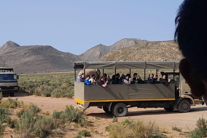 Safari Big Five y cata de vinos privado - Imagen 2