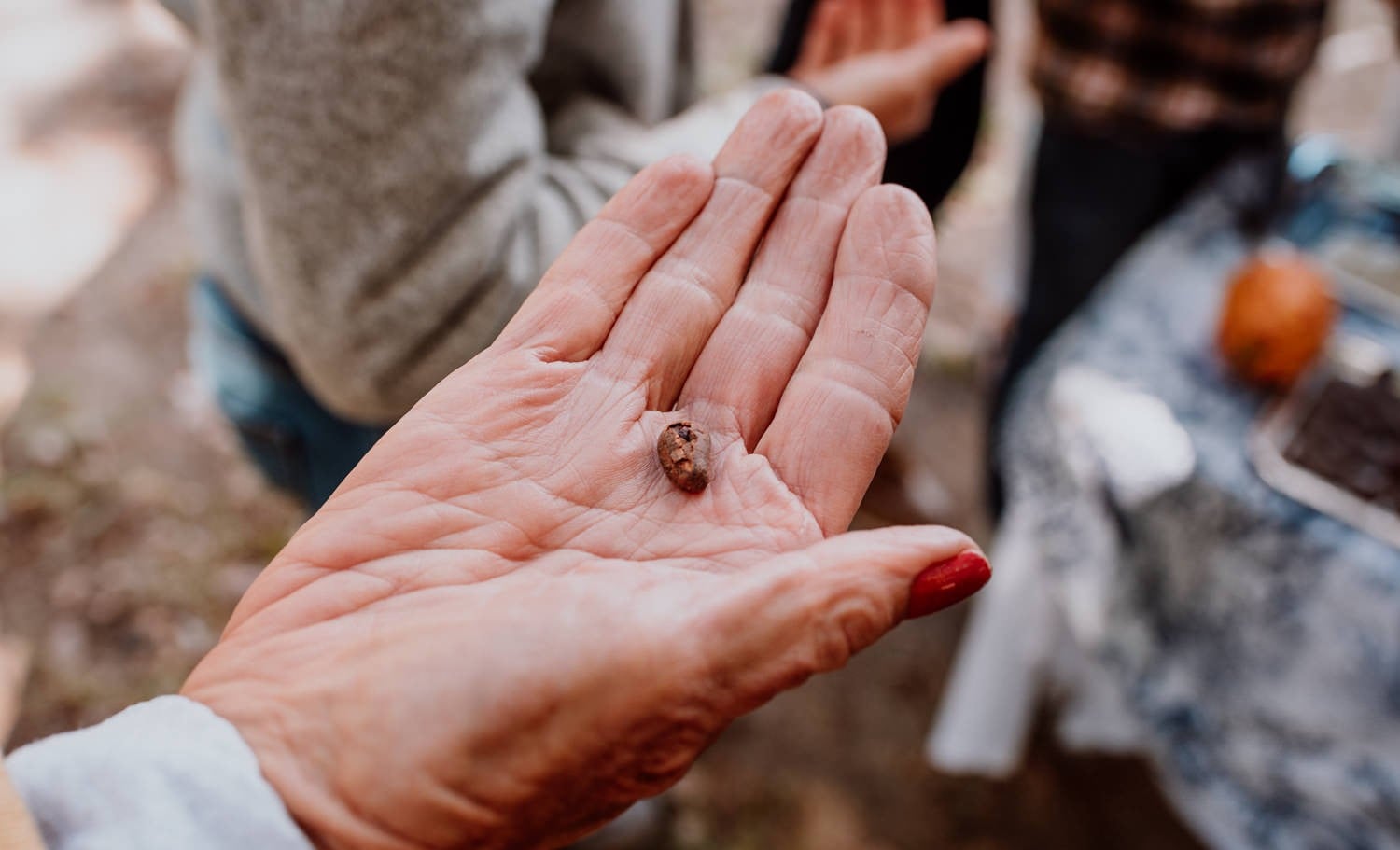 Cata de chocolates exóticos y regionales - Imagen 3