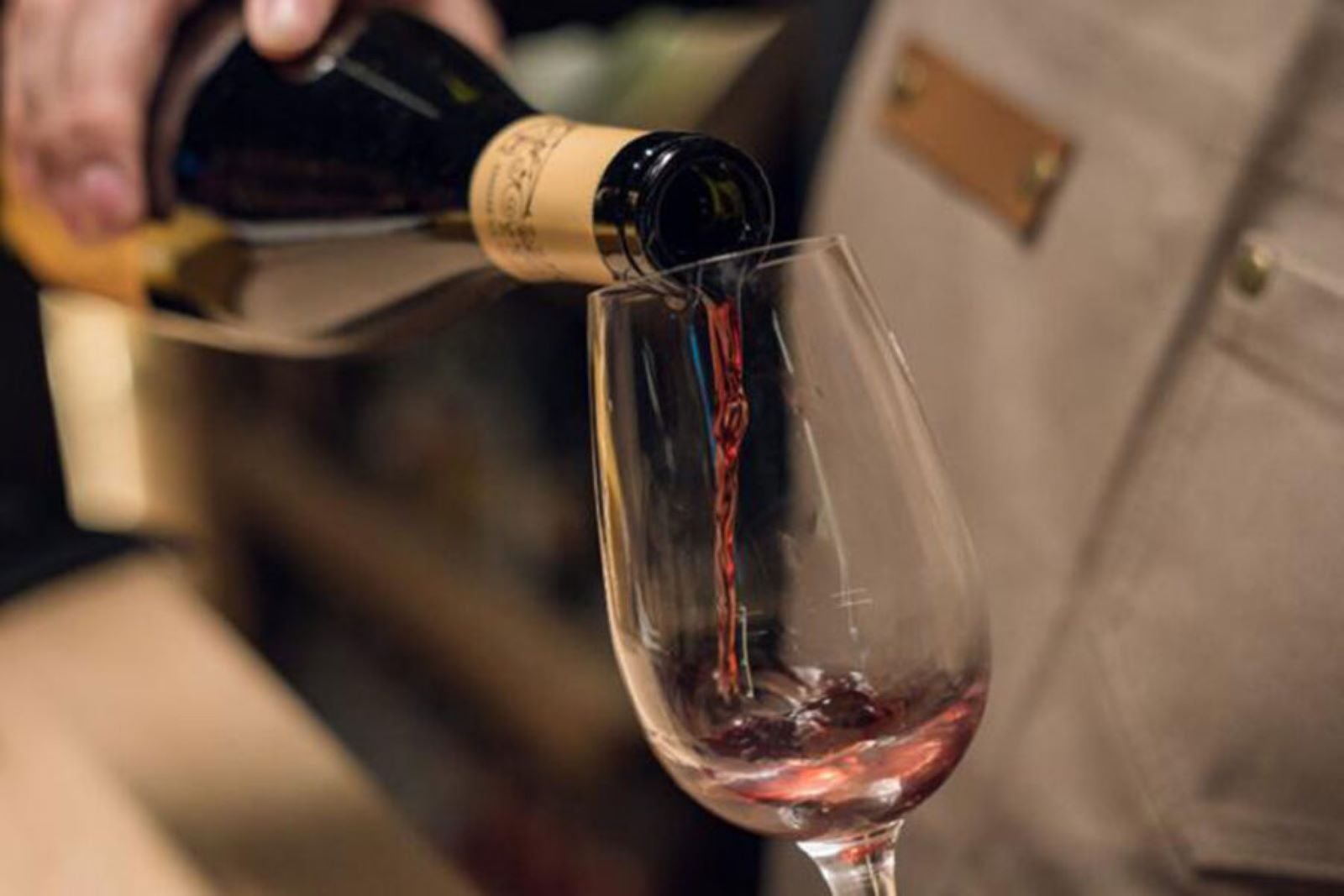 Patagonian WineHouse Experience - Imagen 2