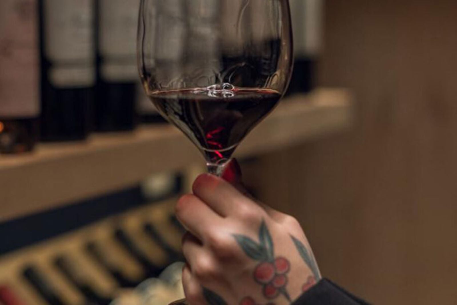 Patagonian WineHouse Experience - Imagen 3
