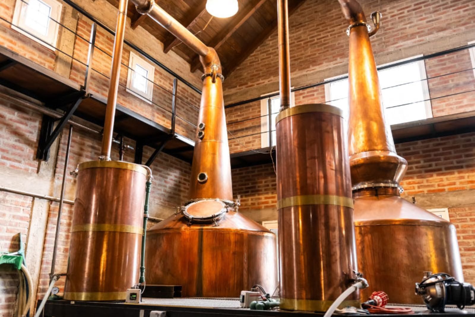 Destilerías de vermut, whisky y gin - Imagen 3