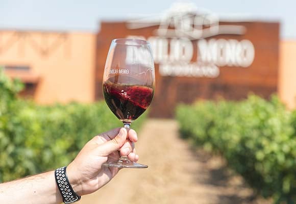 Bodega en Ribera del Duero, fecha flexible - Imagen 4