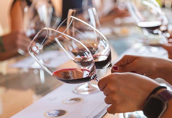Ribera del Duero Wine and Tapas - Imagen 4