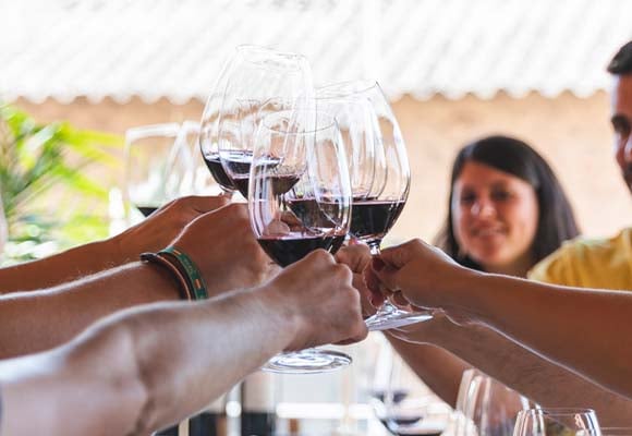 Esencia del Bierzo: Bodega y Cata - Imagen 4