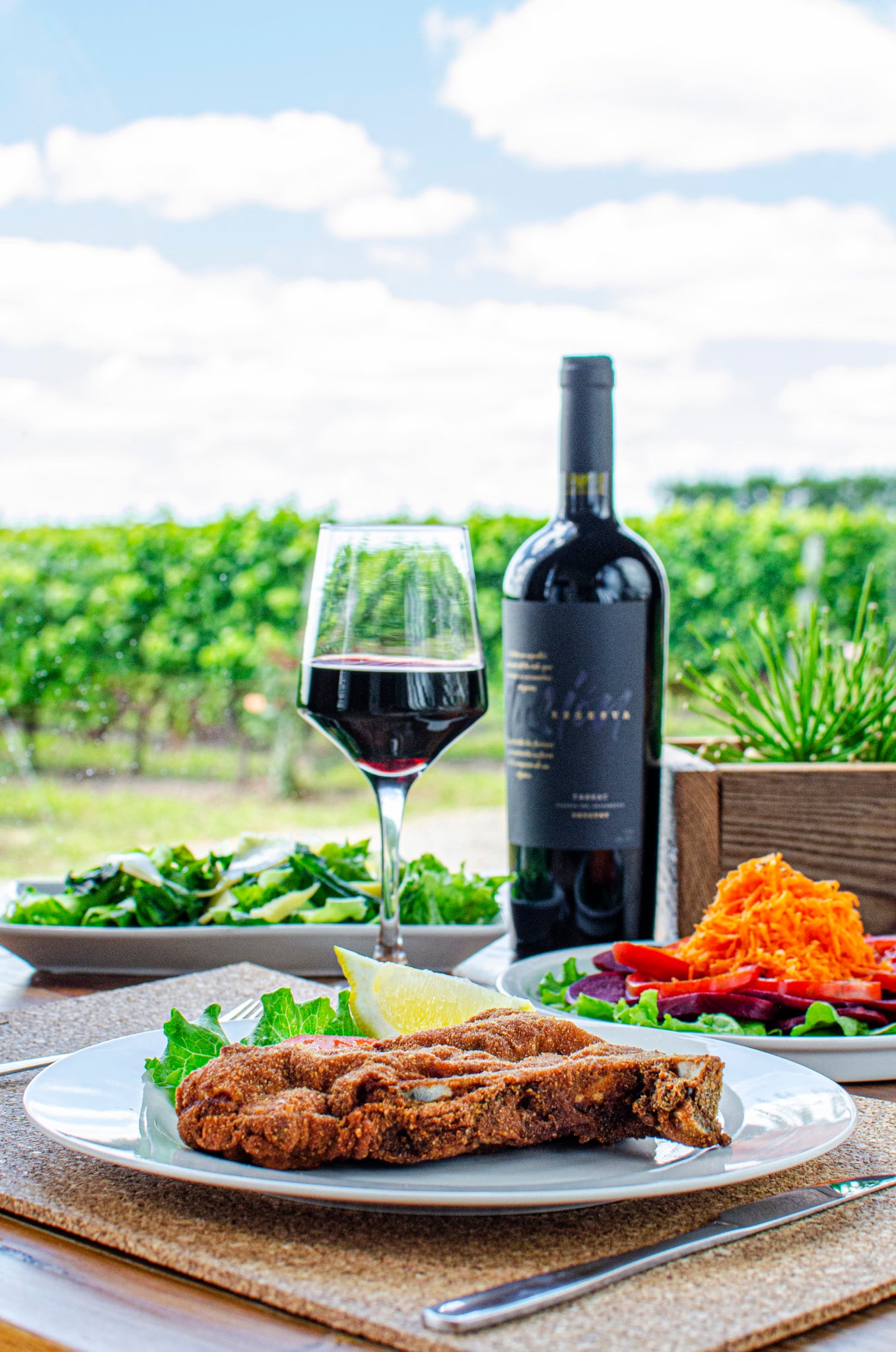 Fripp Winery: Tour, Lunch and Tasting - Imagen 3