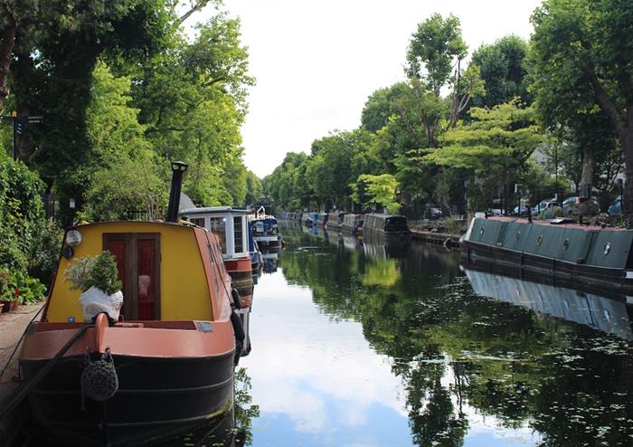 Paddington Walking Tour - Imagen 4