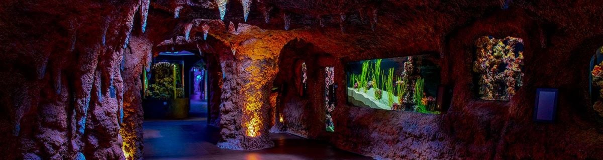 Entrada al Acuario Nacional - Imagen 3