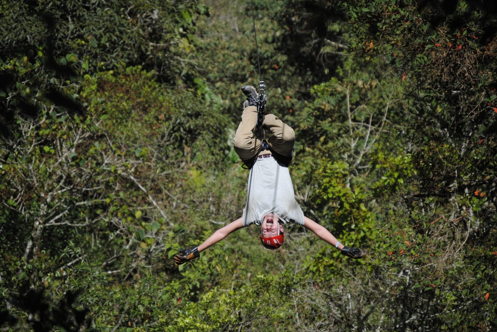 Mindo Cloud Forest Full Day Tour - Imagen 4