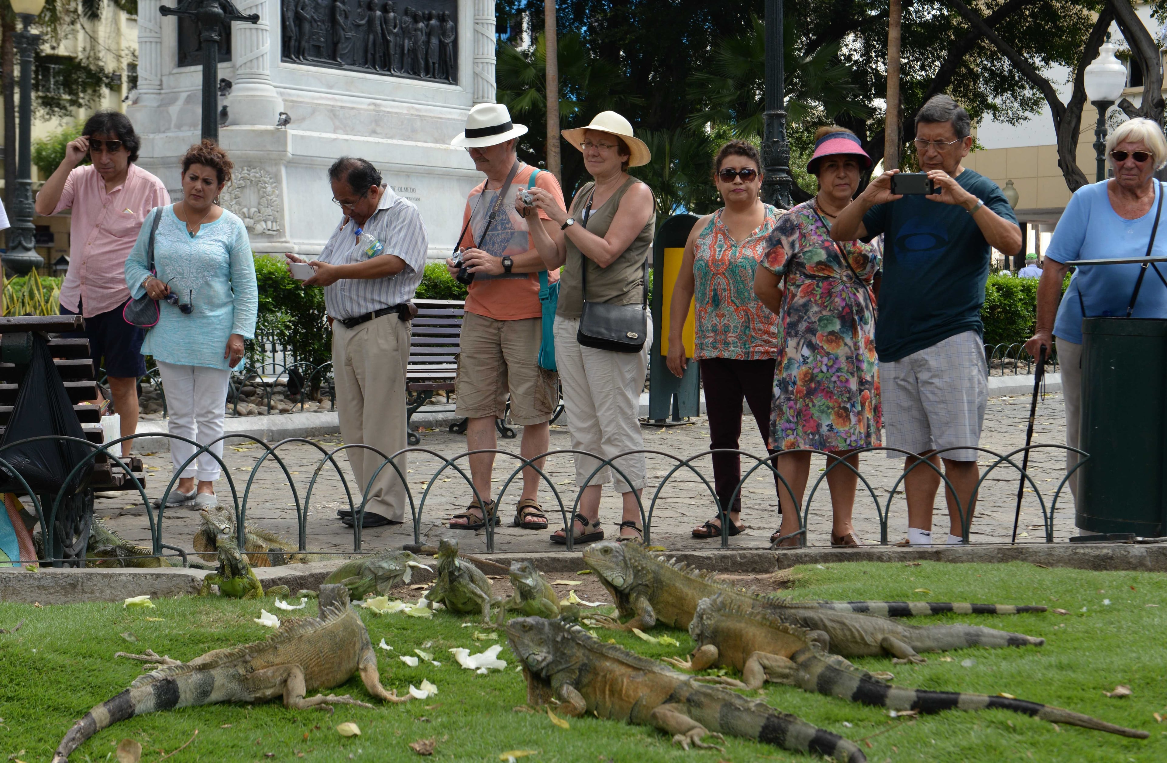Tour de la ciudad de Guayaquil - Imagen 4