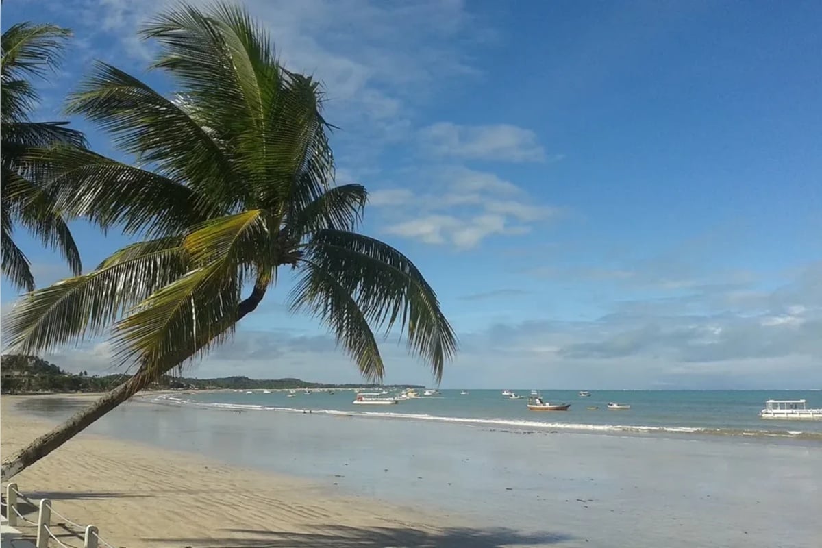Maragogi (marea baja): piscinas naturales - Imagen 2