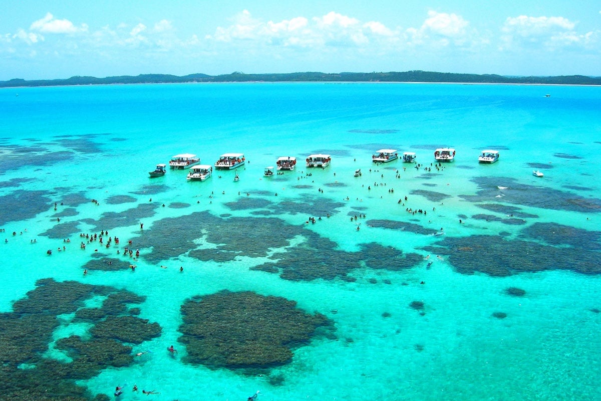 Maragogi (marea baja): piscinas naturales - Imagen 4