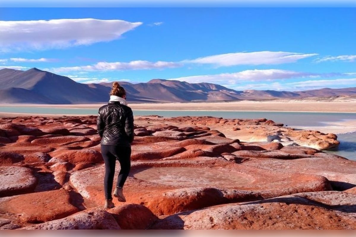Piedras Rojas, lagunas altiplánicas y Chaxa - Imagen 3