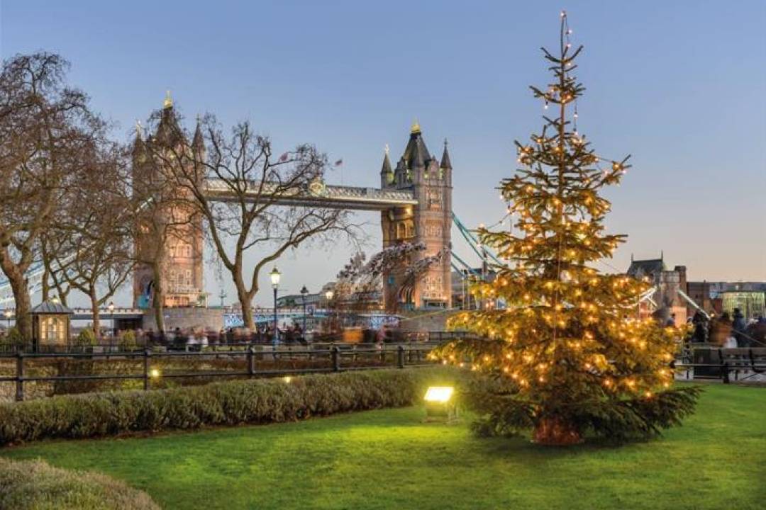 Christmas Day Hop-on Hop-off Bus Tour - Imagen 2