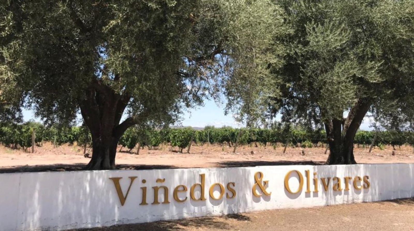 Maipú Express: vinhos e almoço - Imagen 3