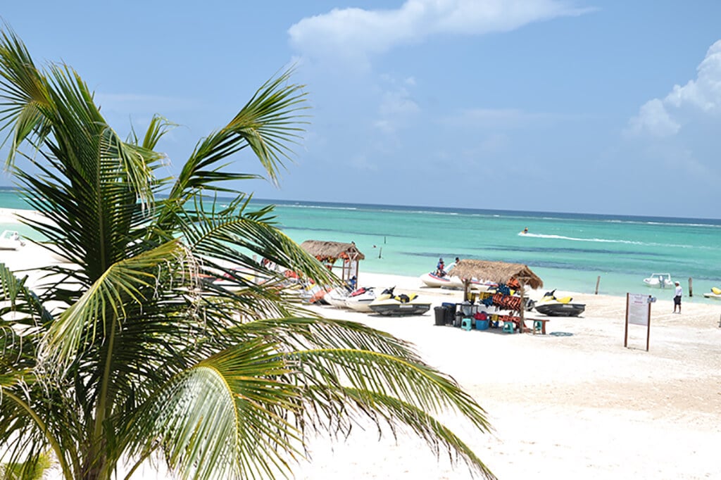 Dolphin encounter en Playa del Carmen - Imagen 2
