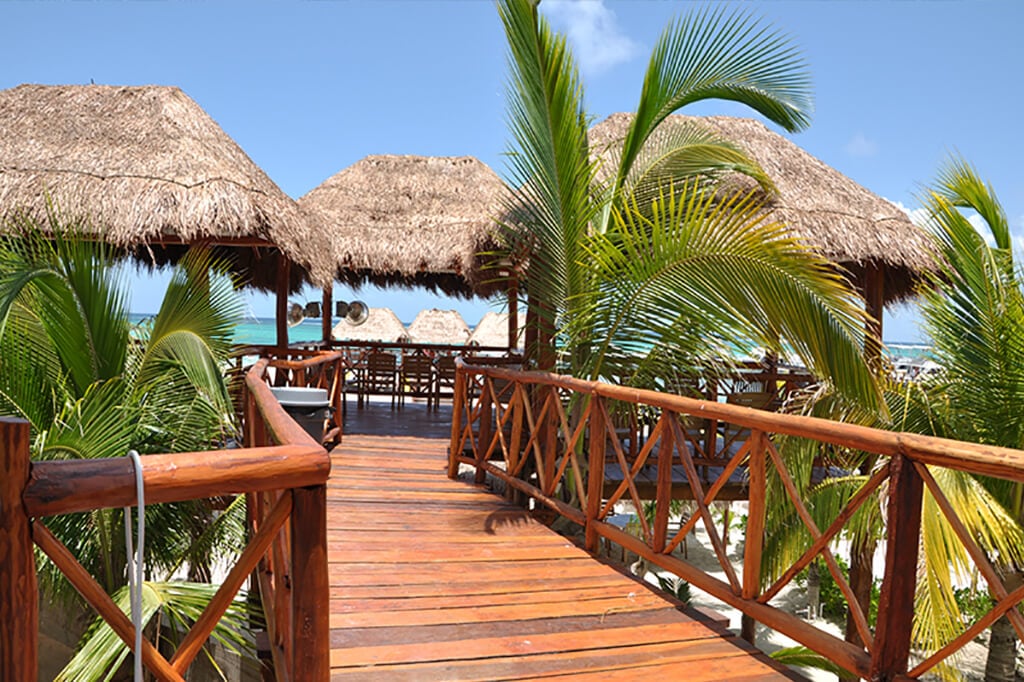 Dolphin encounter en Playa del Carmen - Imagen 4