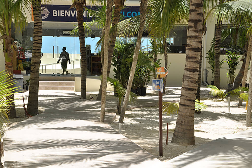 Dolphin encounter en Playa del Carmen - Imagen 3