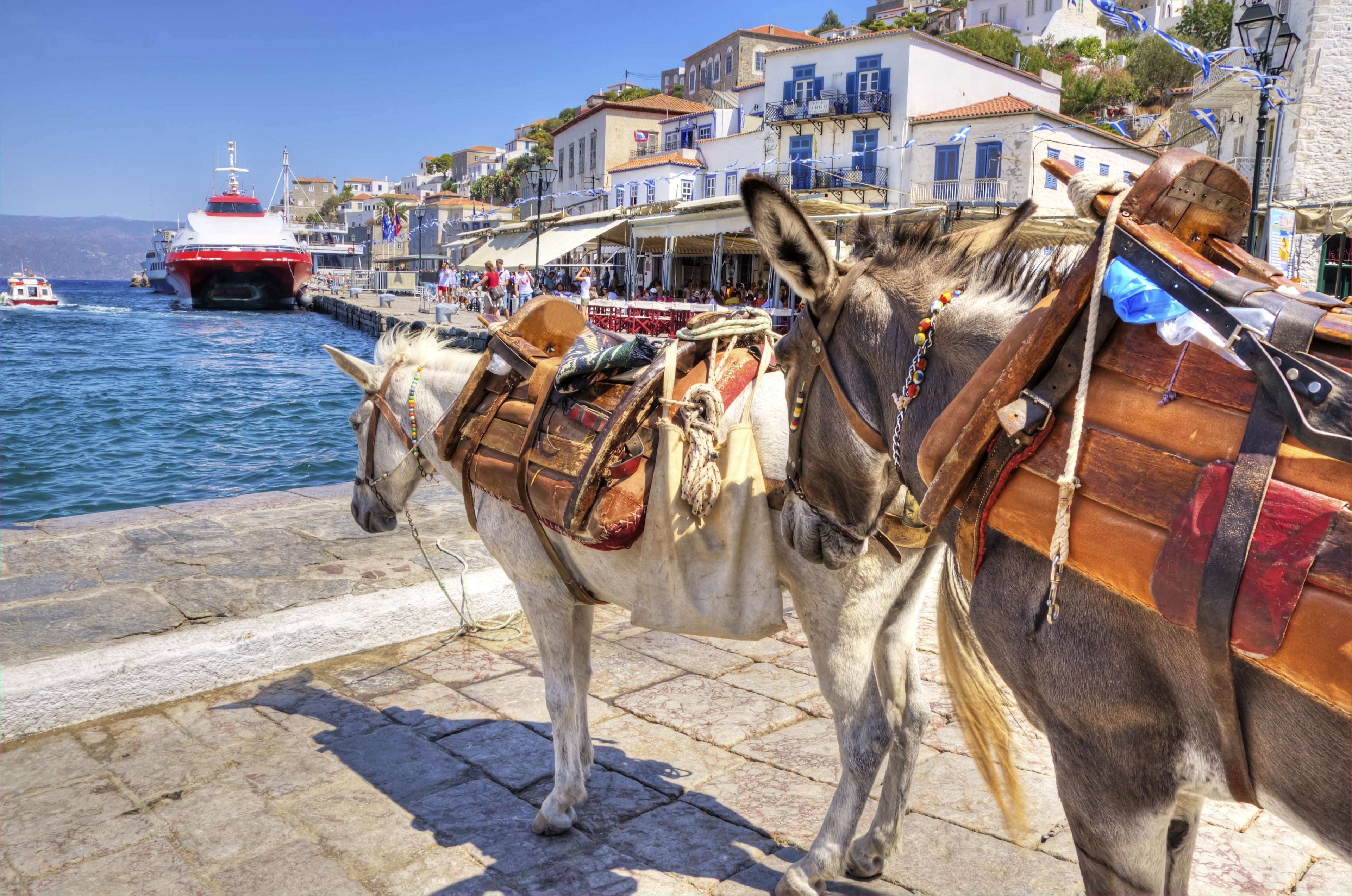 Crucero de un día: Poros, Hidra y Egina - Imagen 3