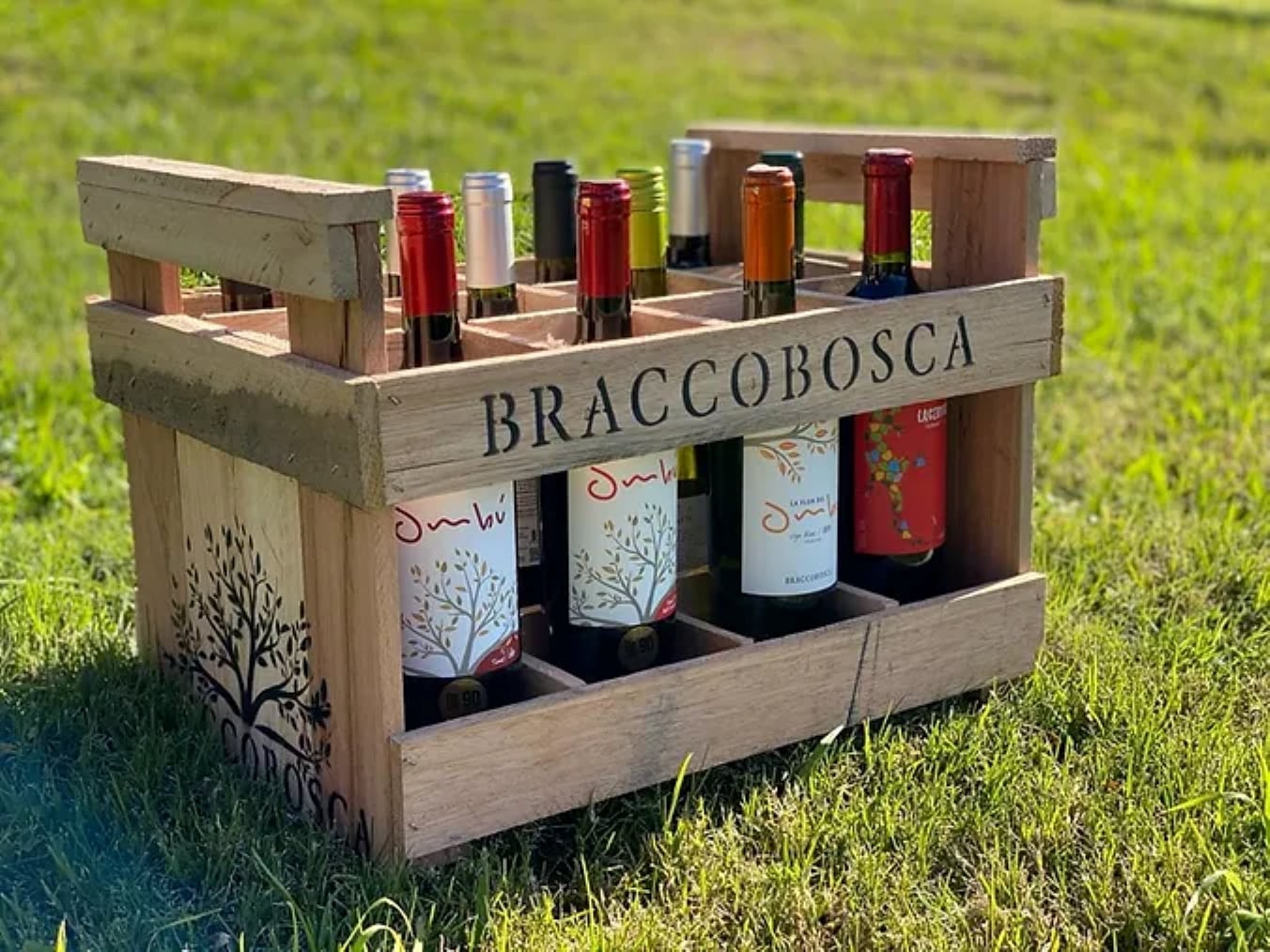Bodega Braccobosca con degustación - Imagen 4
