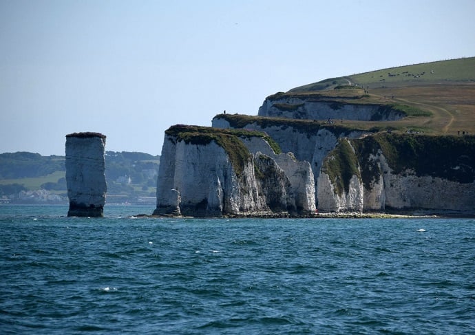 Jurassic Circular Cruise - Imagen 2