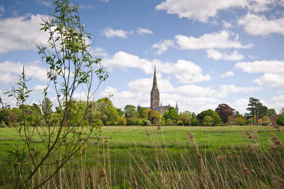 Salisbury: catedral y Carta Magna de 1215 - Imagen 2