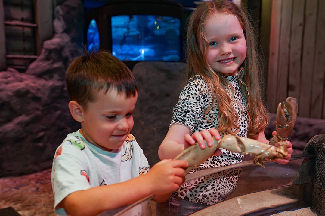Visite SEA LIFE Great Yarmouth - Imagen 4