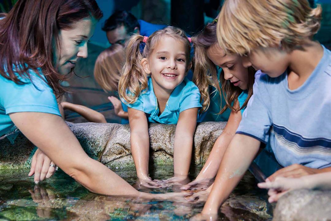 Visite SEA LIFE Manchester - Imagen 3