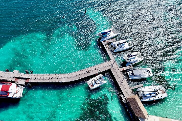 Catamarã a Isla Mujeres com snorkel e almoço - Imagen 3