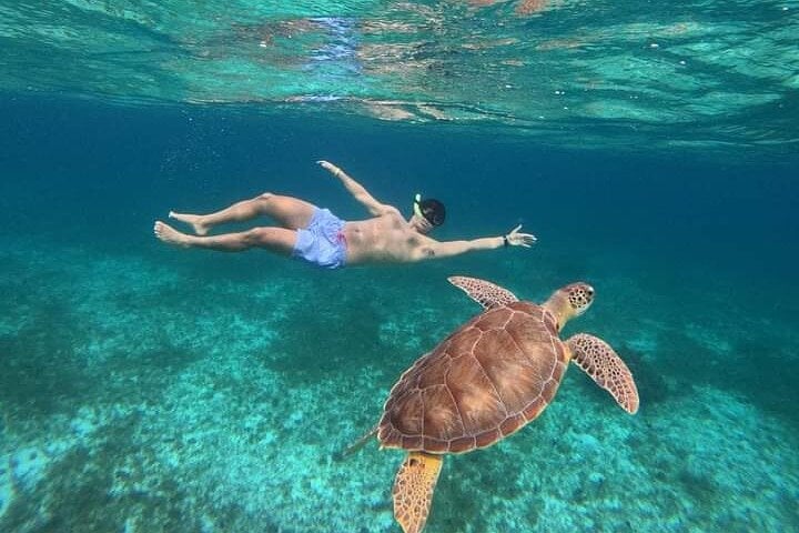 Isla Mujeres en catamarán: buffet y bebidas - Imagen 4