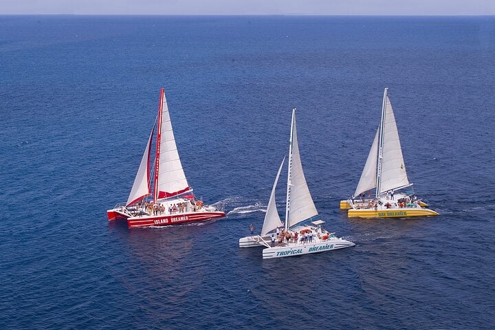 Catamarán con snorkel y barra libre - Imagen 3