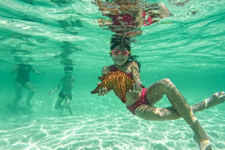Saona: almuerzo, fauna y piscinas naturales - Imagen 4