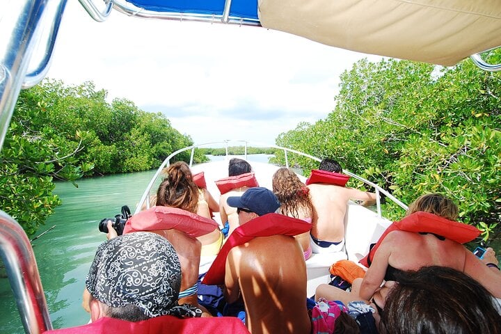 Saona: almuerzo, fauna y piscinas naturales - Imagen 3