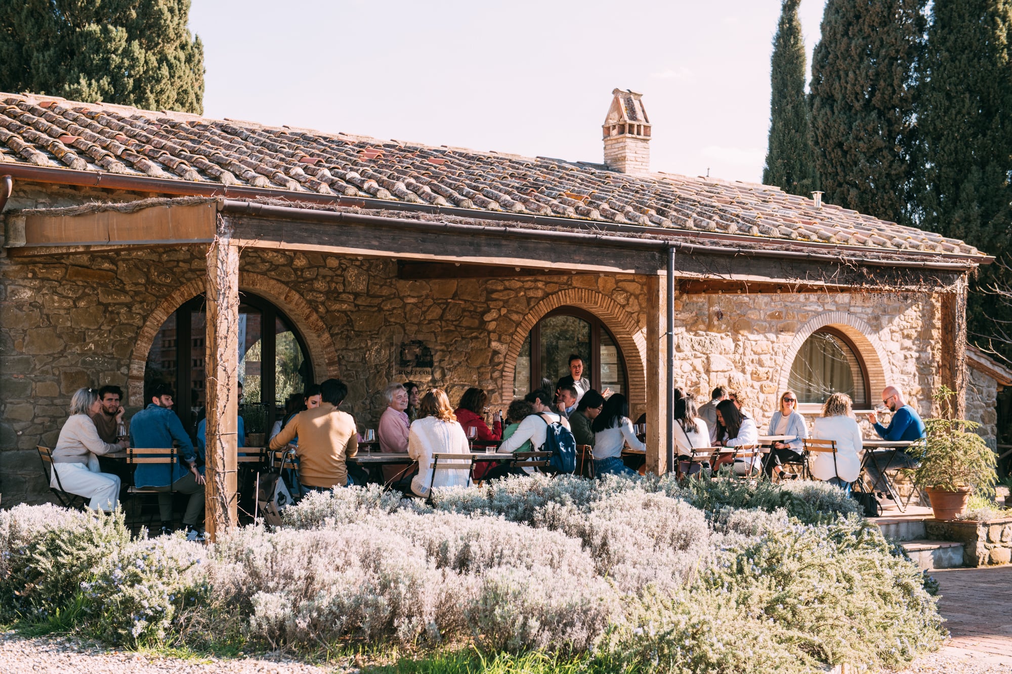 Vinhos nas colinas de Chianti - Imagen 4