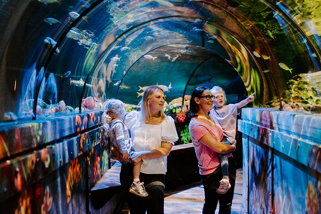 Visite SEA LIFE Brighton - Imagen 2