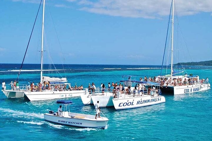 Catamarán: cena al atardecer y barra libre - Imagen 4